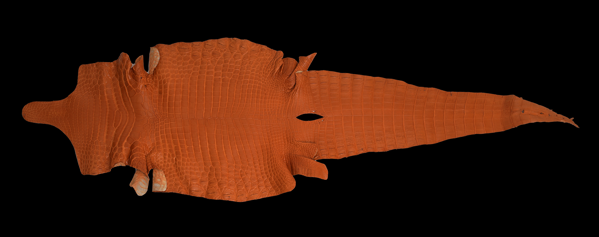 クロコダイル被せ型財布